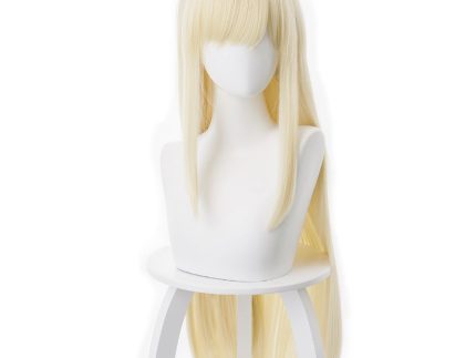 Fate/Grand Order FGO Sima Yi Cosplay Wig