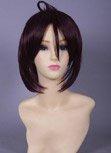 Inu x Boku SS Sorinoduka Lenshou Purple Cosplay Wig
